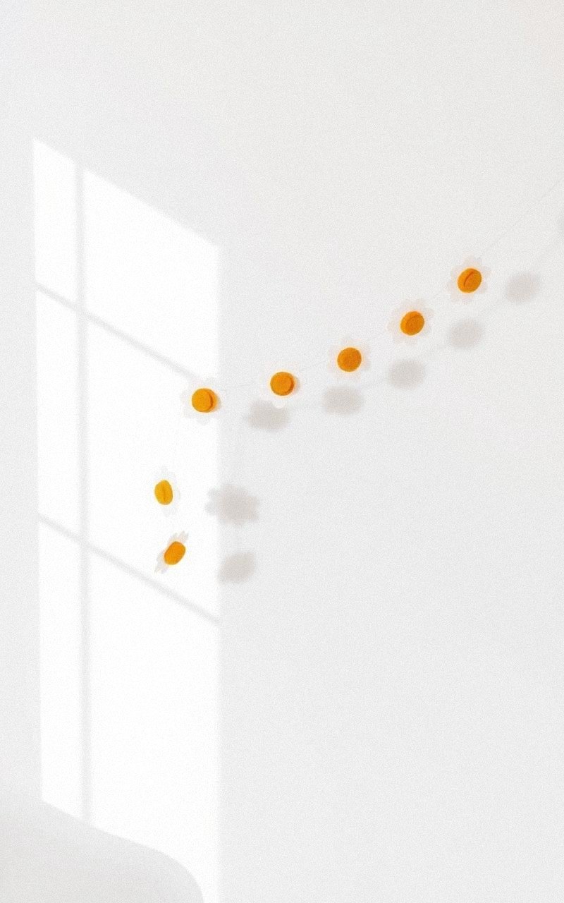 Dainty Felt Daisy Chain Garland