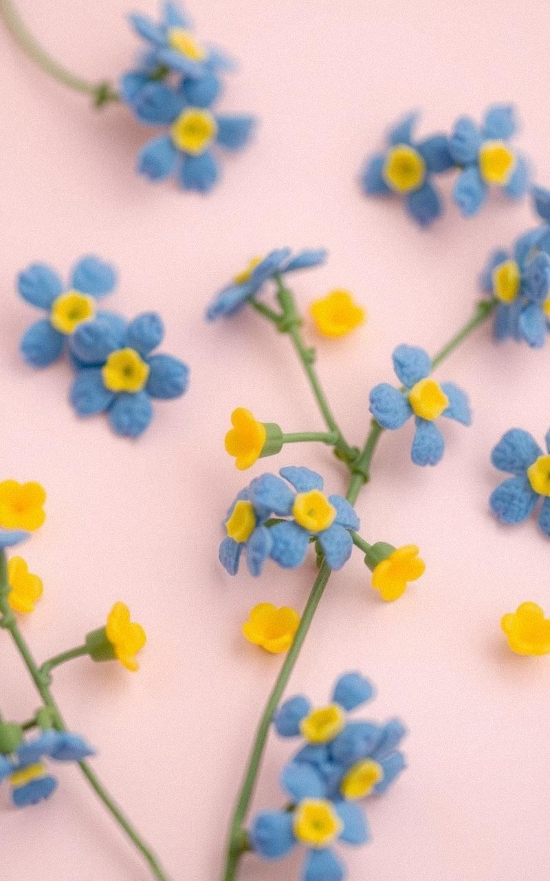Delicate Felt Forget-Me-Nots With Tiny Blooms
