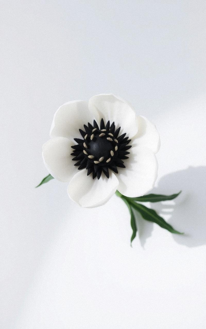 Modern Felt Anemone With Bold Contrast