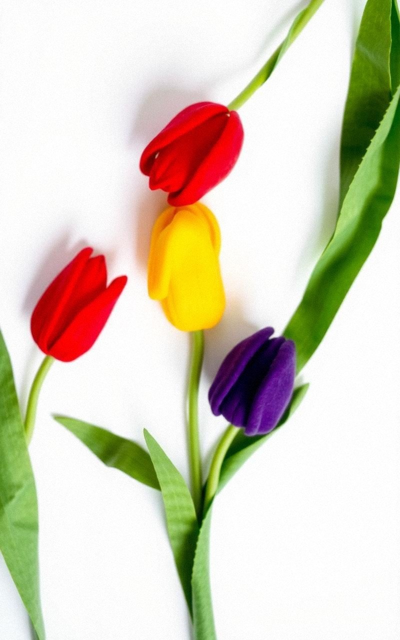 Simple Felt Tulip Trio With Clean Lines